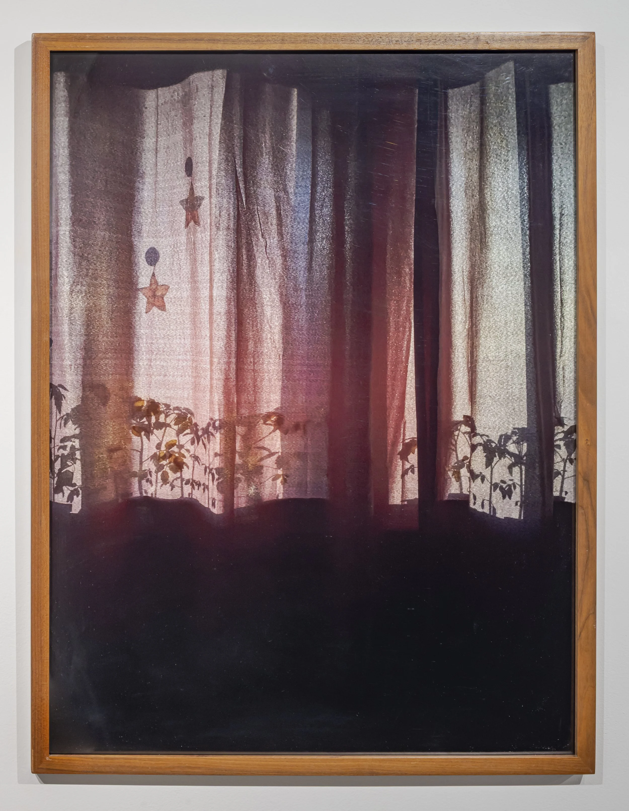   Nap Time   Inkjet print on photo paper 32” x 24”  2025 