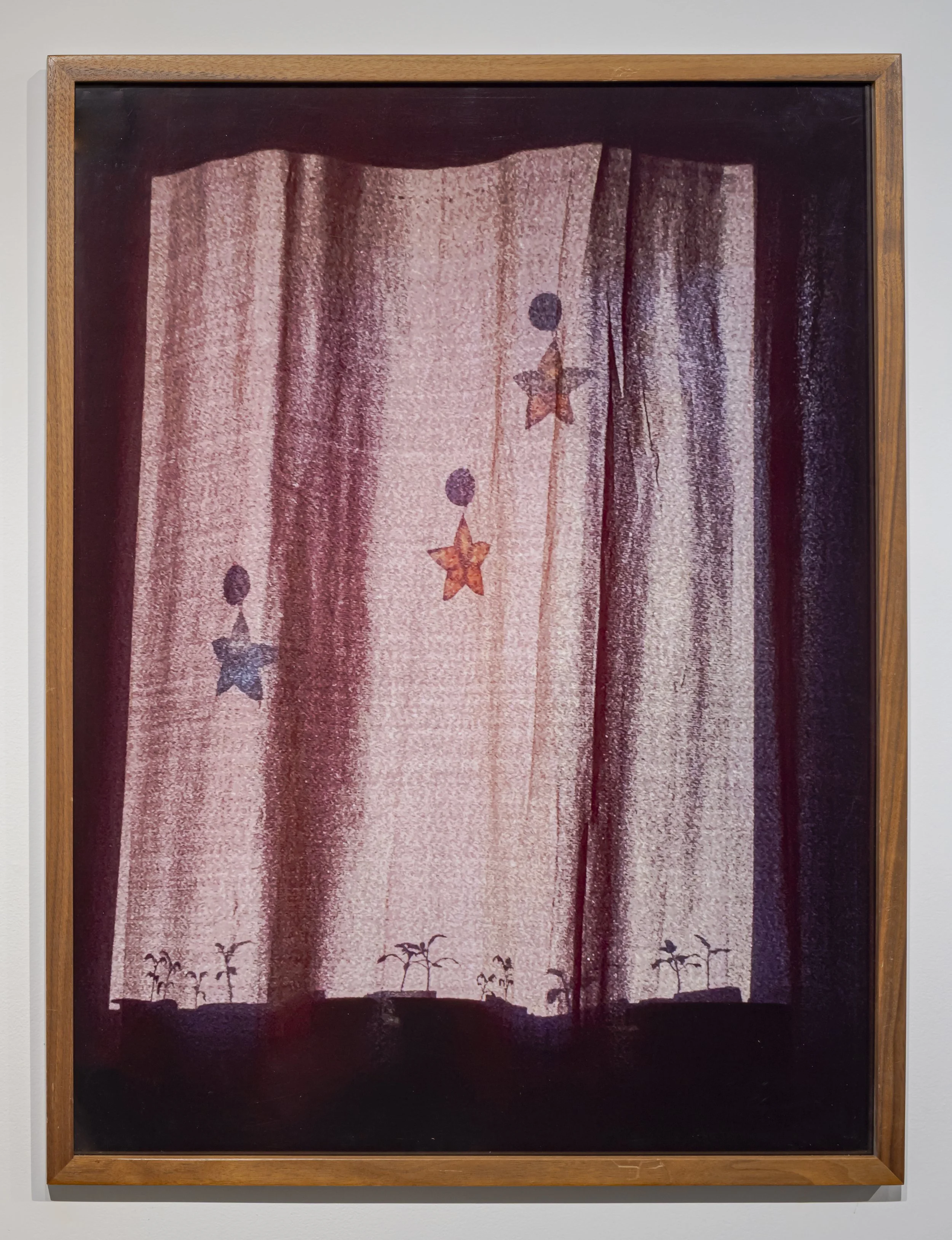   Nap Time   Inkjet print on photo paper 32” x 24”  2025 