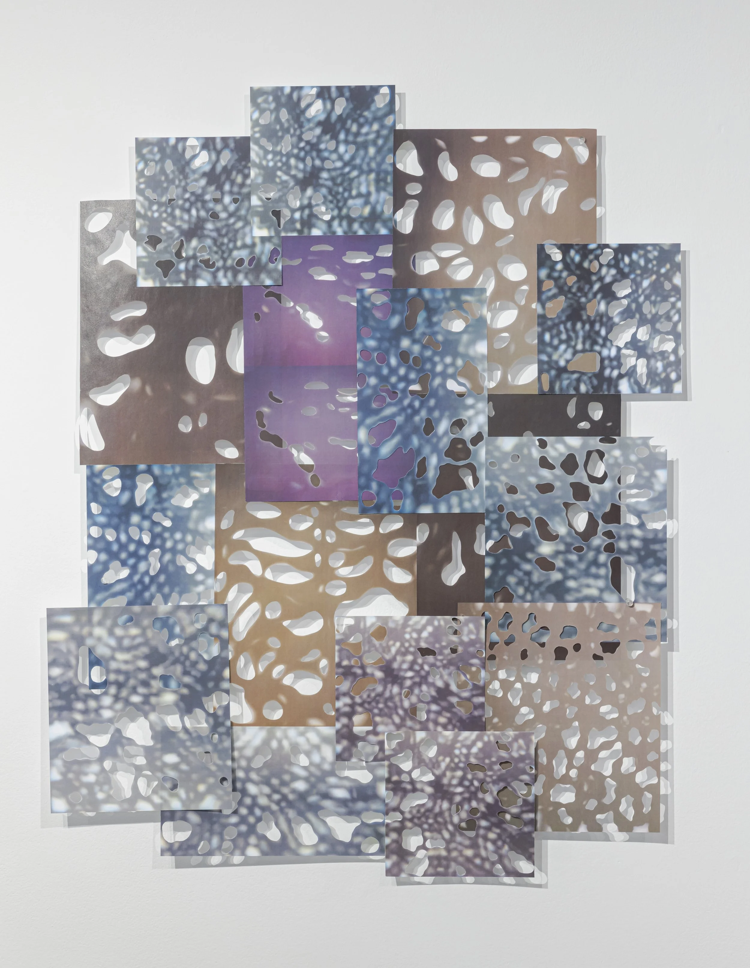   Orbital 2  Paper collage  Dimensions variable  2025 