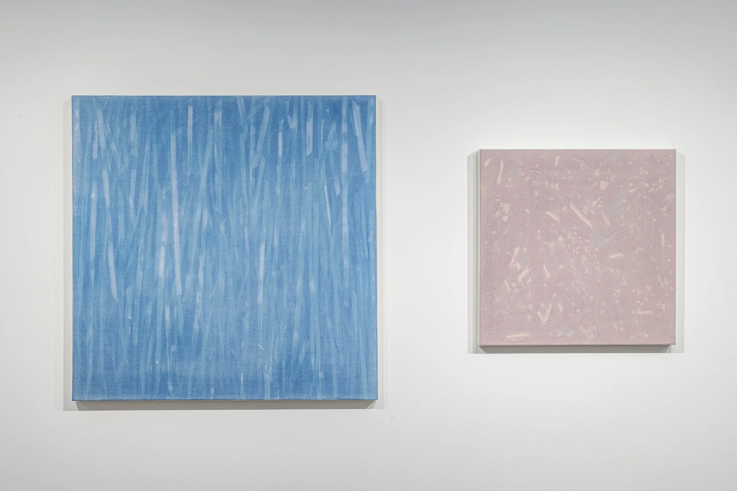  Left:   Nesting  Photogram on canvas 34” x 34” 2025  Right:   Birds of a Feather   Photogram on canvas 22” x "22”  2025 