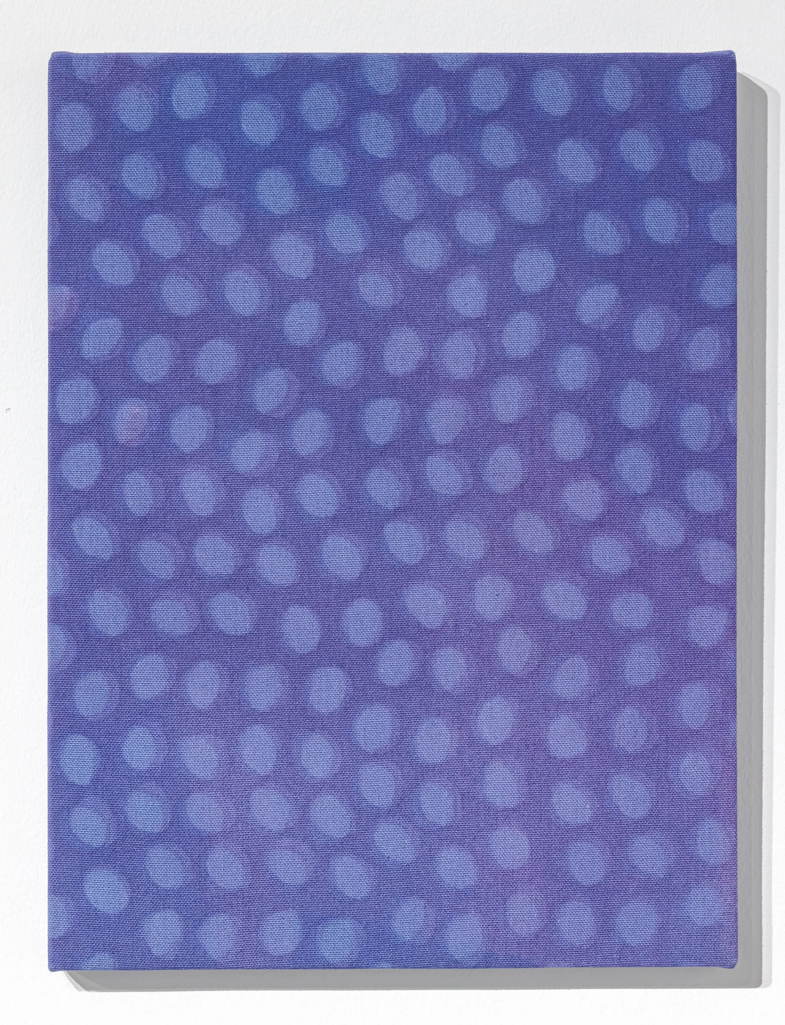   Weathering   Photogram on canvas  16” x 12”  2025 