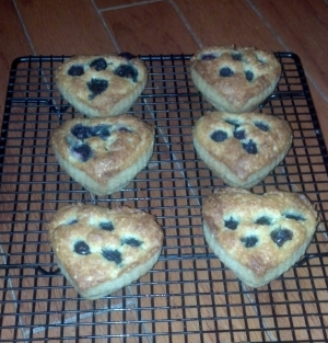 The blueberry muffins she ate for lunch almost every day for 8 months - until she got sick of them.