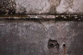 wrs image texture12.jpeg