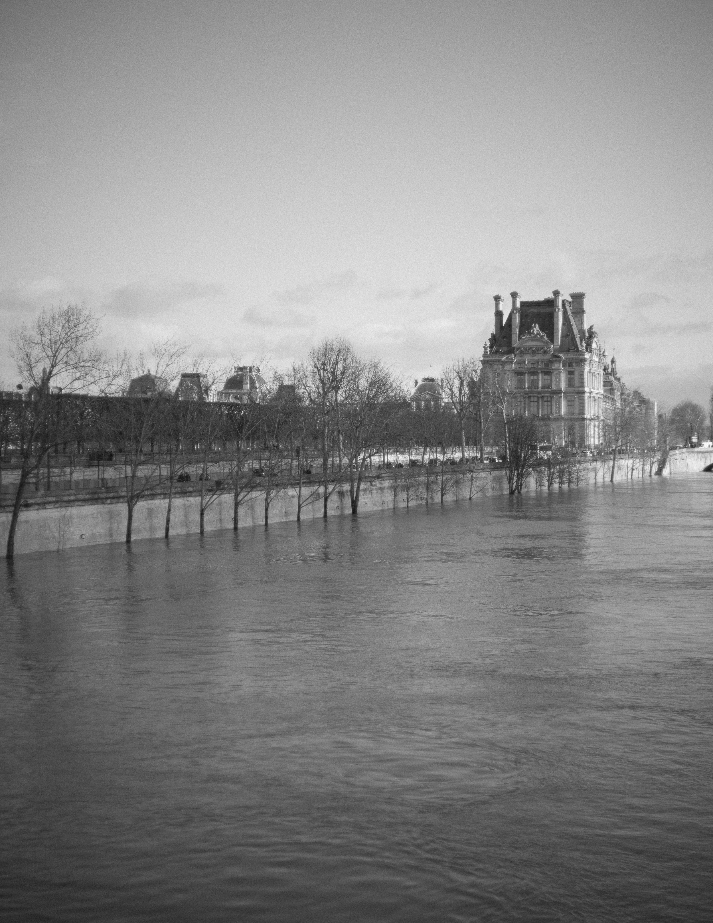 DSC04341-4.jpg