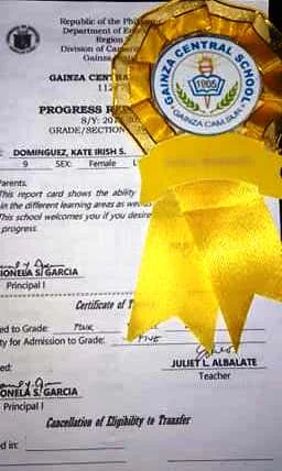 Kate Irish Dominguez of Gainza area with the Average of 94.jpg
