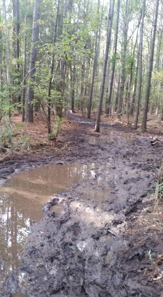  I fell in this muck on the 2nd loop! Photo credit: Dave Mansel
