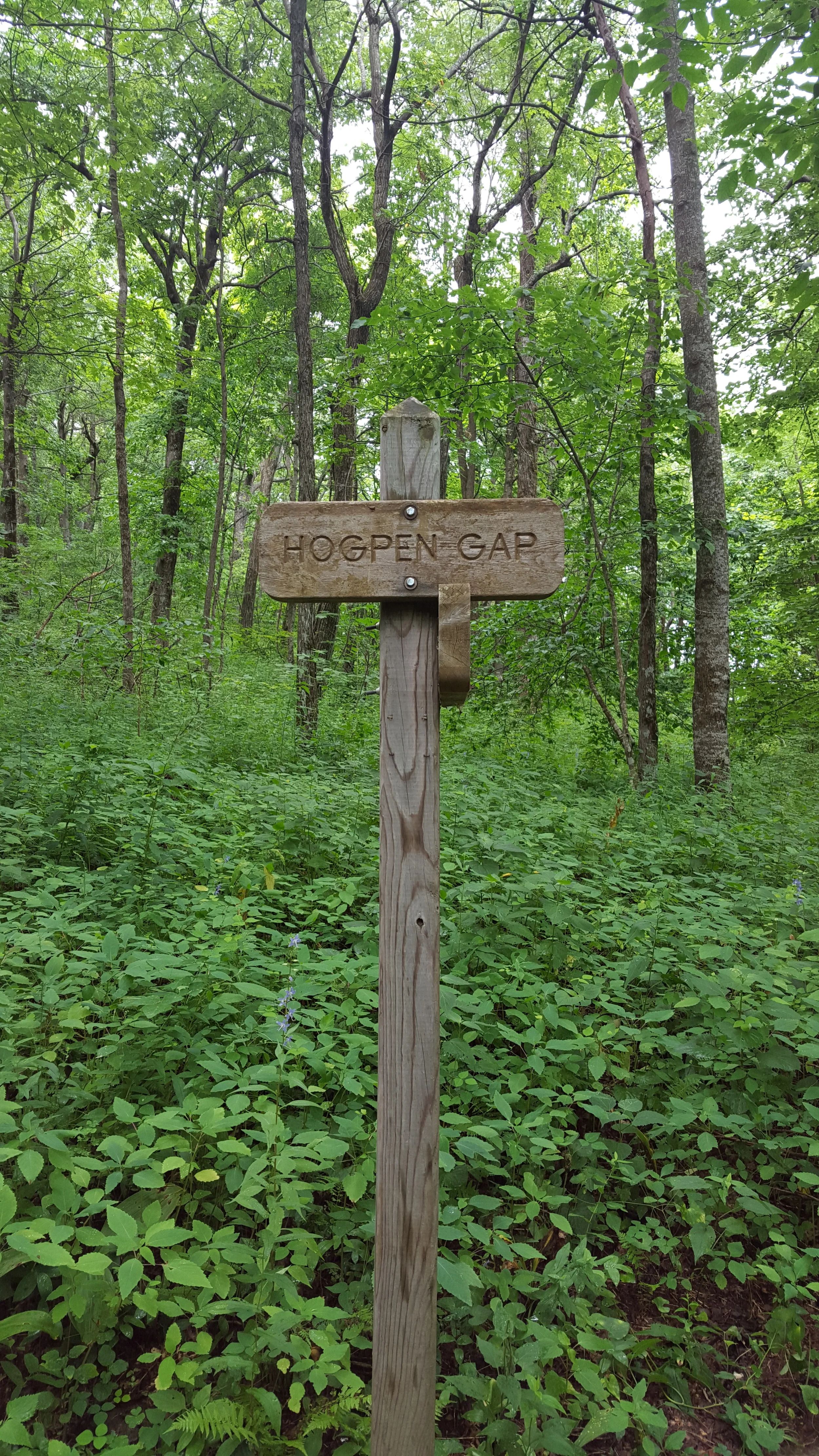 20160723_132255.jpg