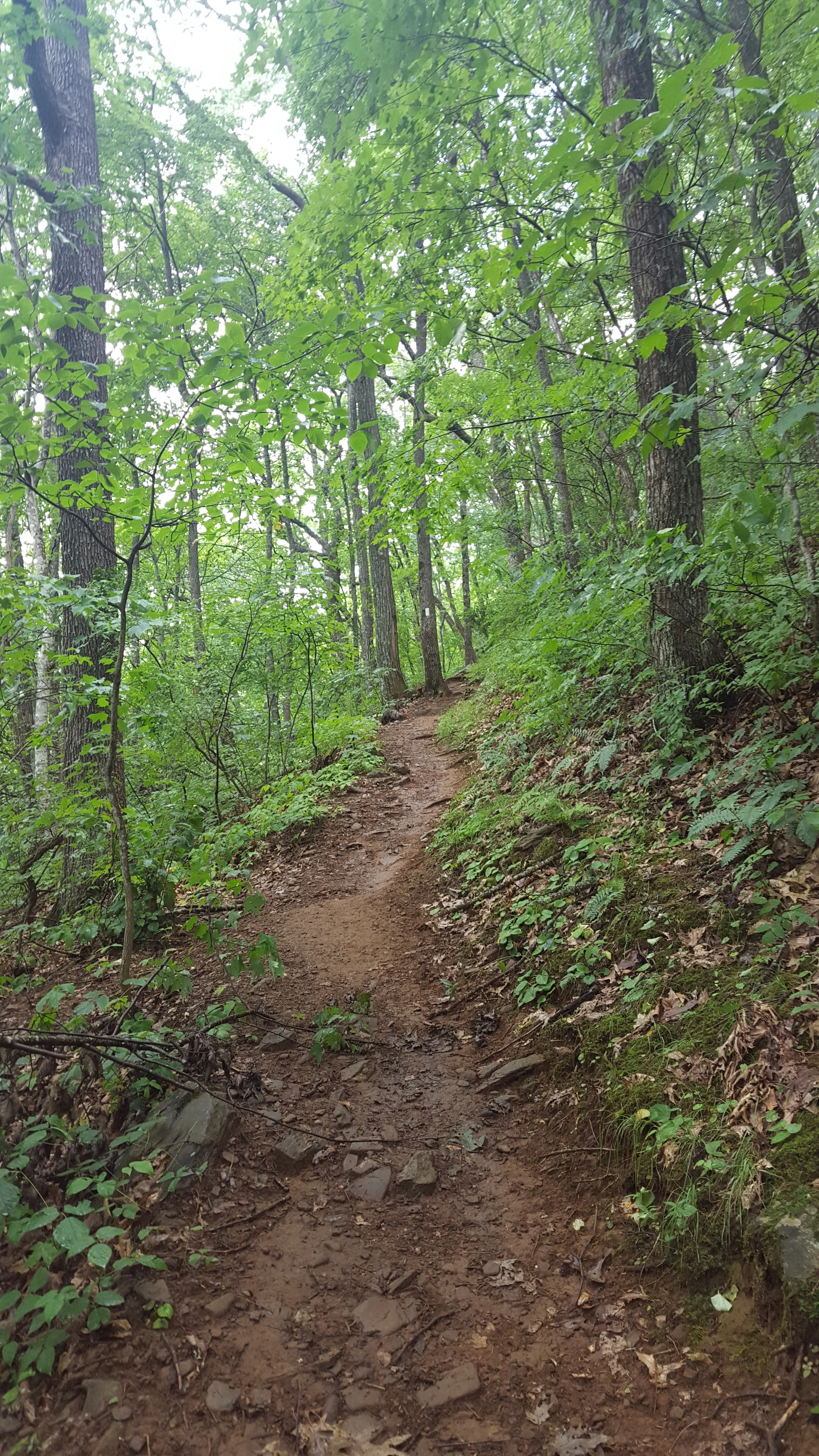 20160724_135028.jpg