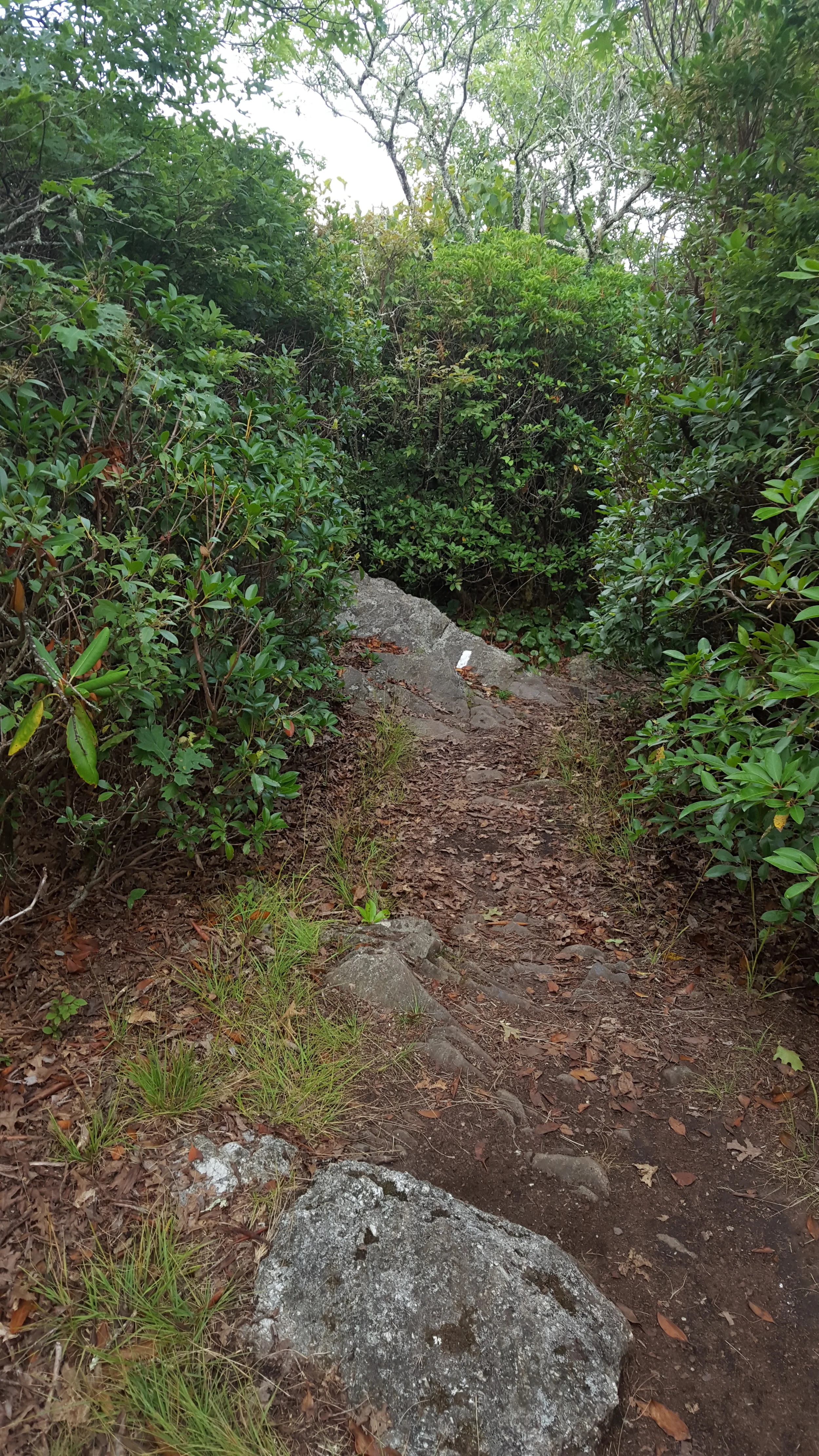 20160724_173442.jpg