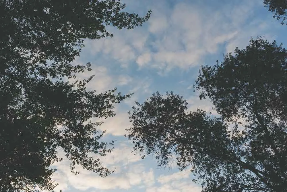 Quinta El Tata003.JPG