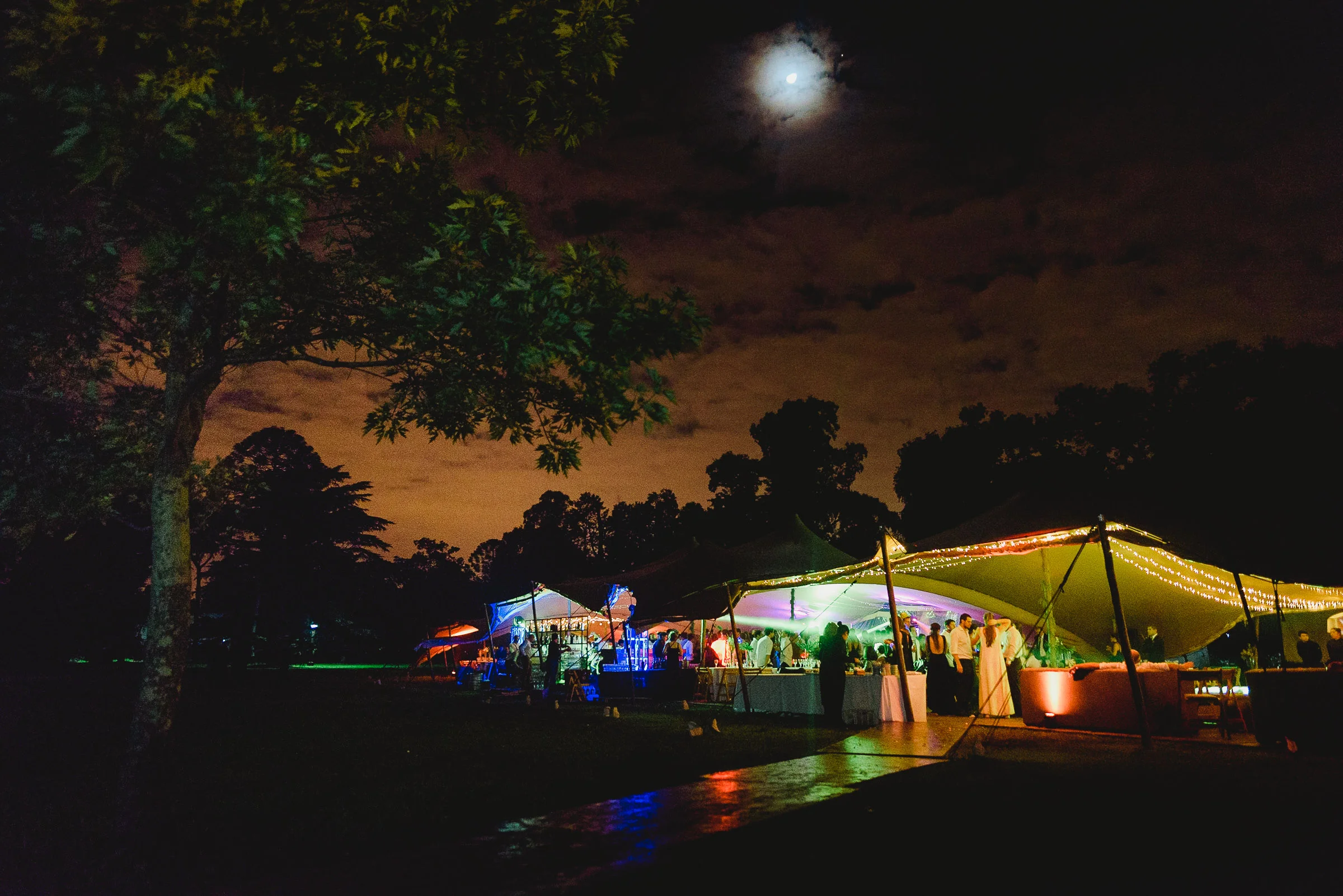 carpas tentickle008.JPG