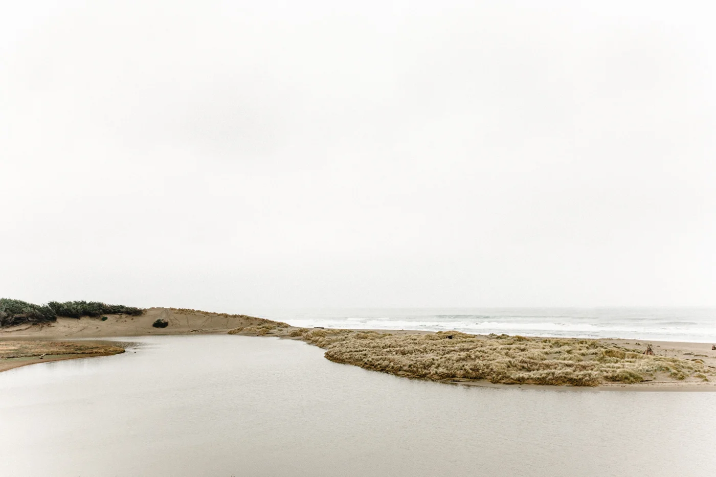 Freda Banks_Tess + Fede_Engagement_2019_104.jpg