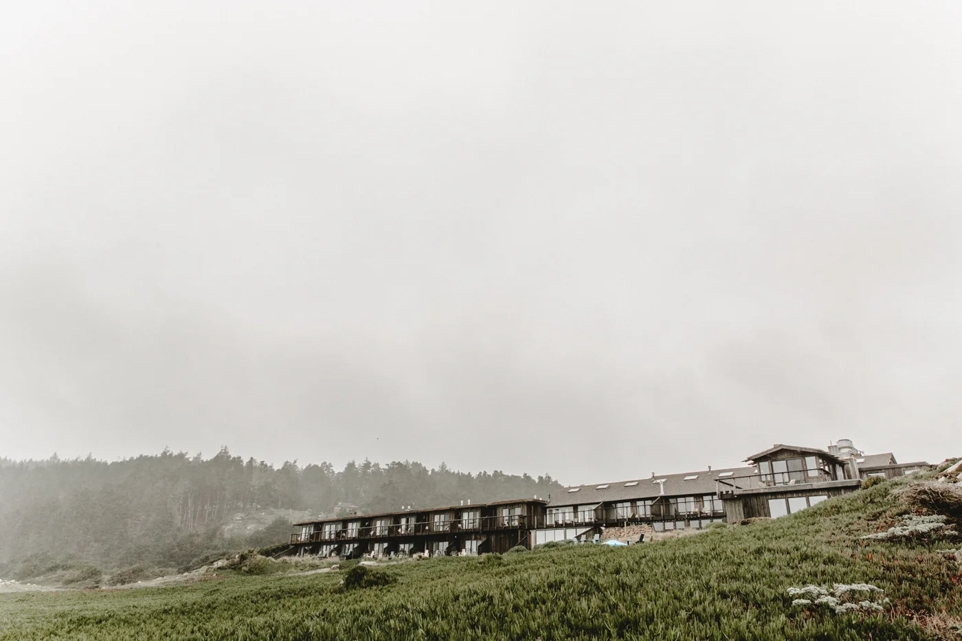 Freda Banks_Tess + Fede_Engagement_2019_120.jpg