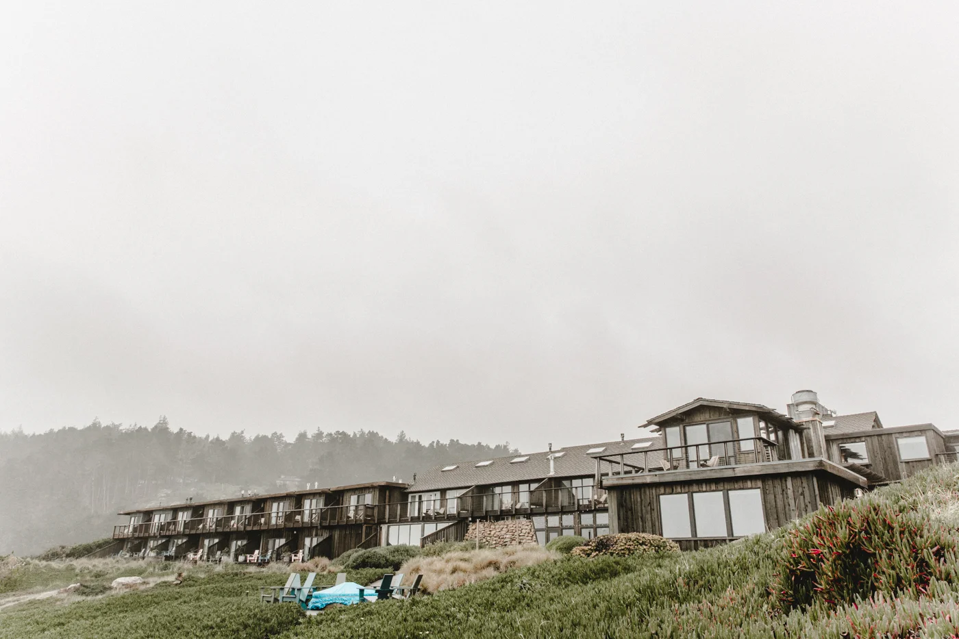 Freda Banks_Tess + Fede_Engagement_2019_119.jpg
