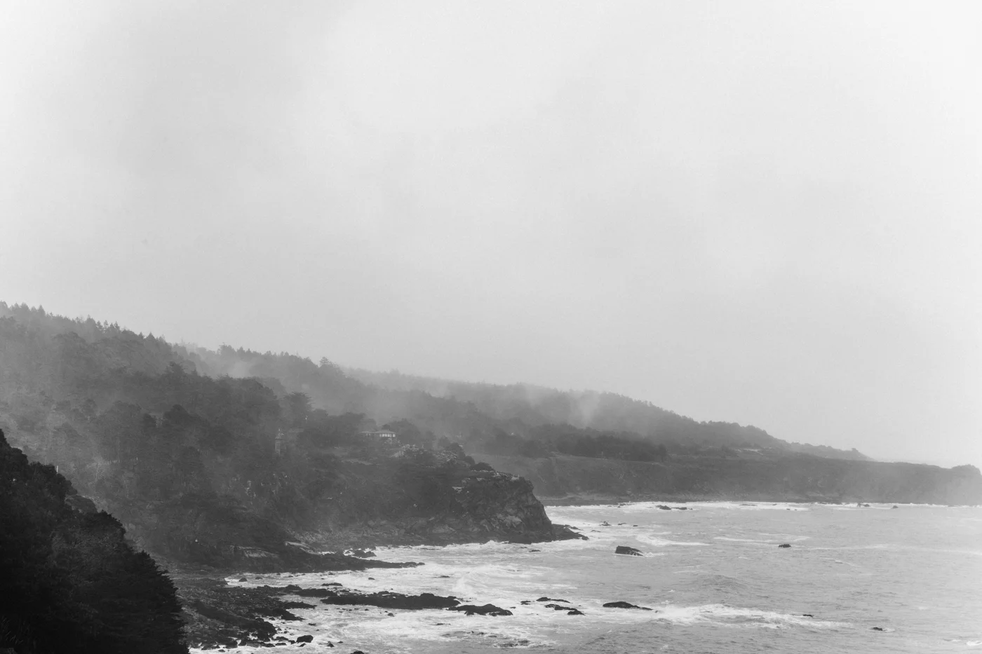 Freda Banks_Tess + Fede_Engagement_2019_130.jpg