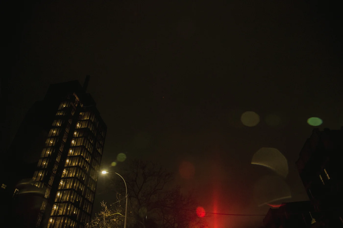 Freda Banks_NYC_2019_002.jpg