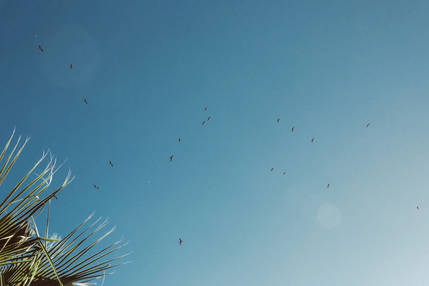 Freda Banks_Mexico_2019_042.jpg