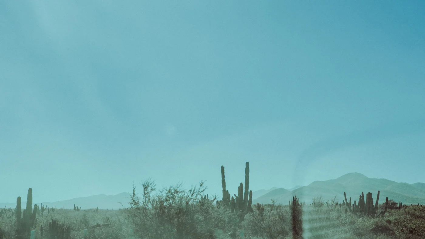 Freda Banks_Mexico_2019_044.jpg