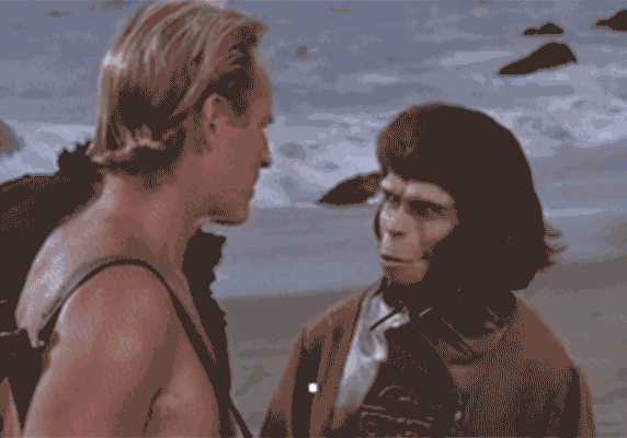 Zira-s.gif