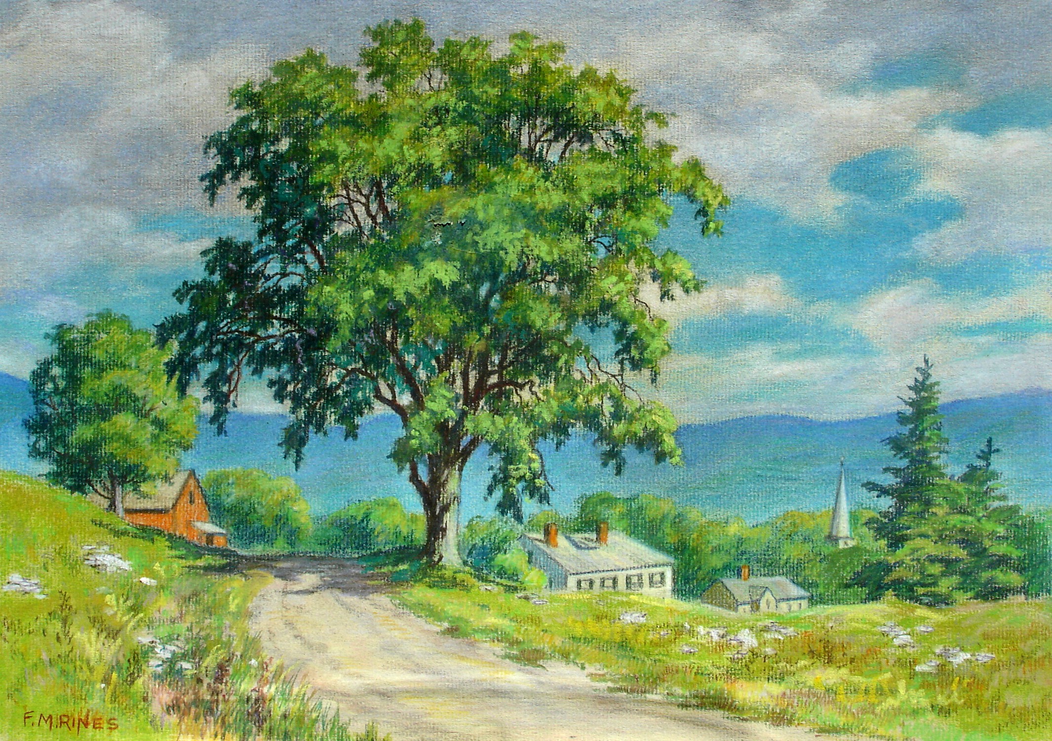 21 Majestic elm VT.JPG