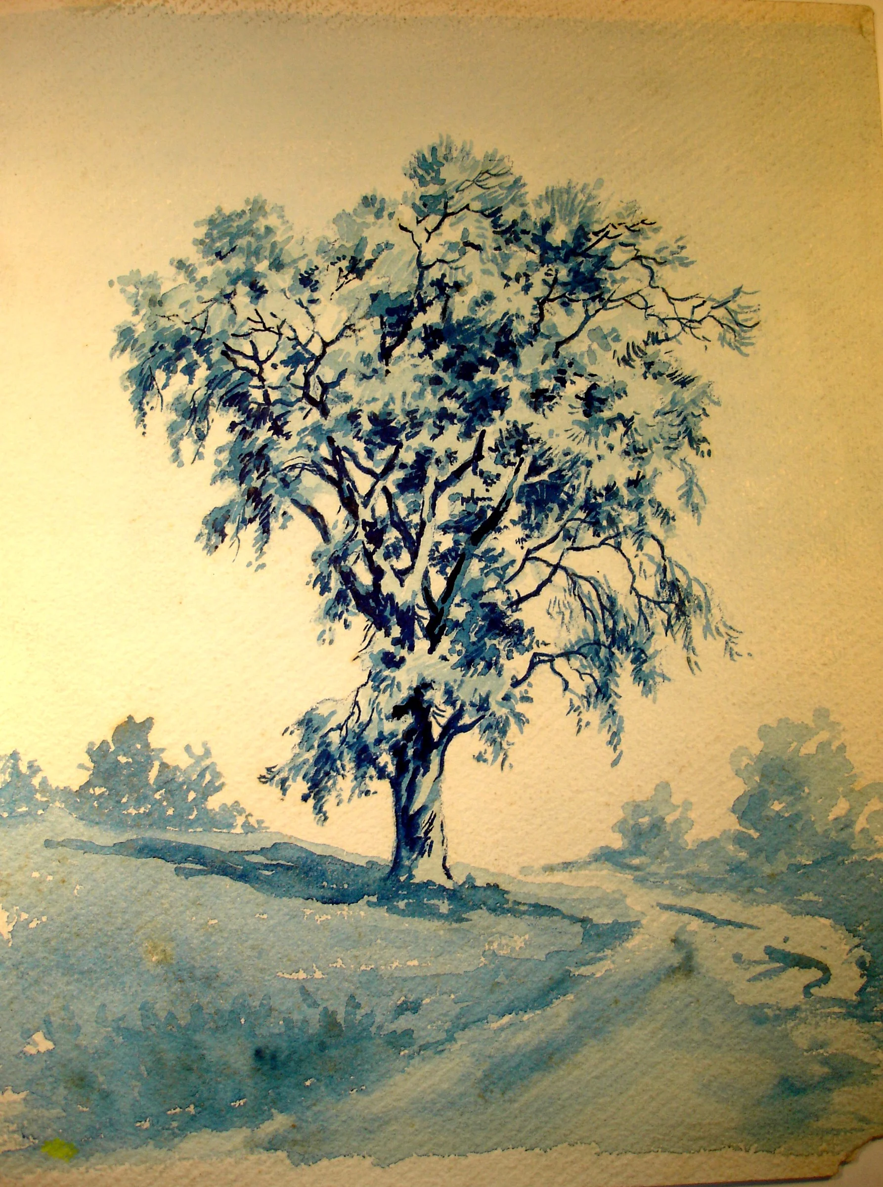 7. White Oak.jpg