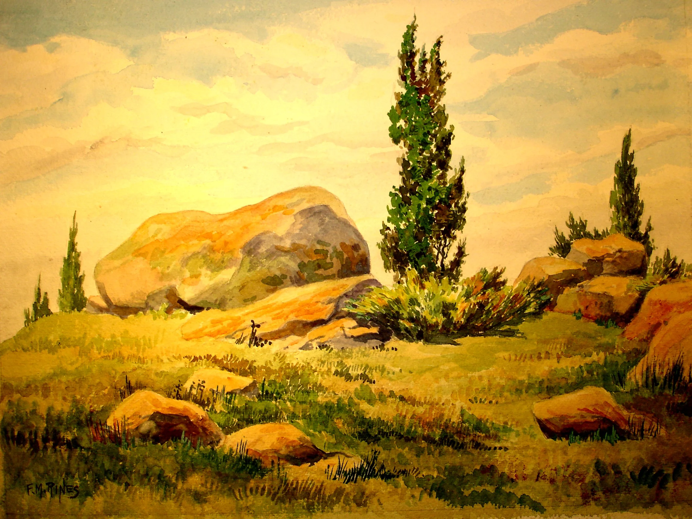 Dogtown Common Cedars