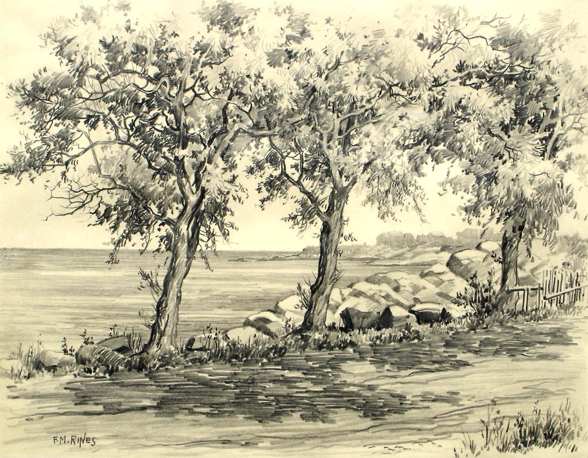 Back Beach Willows