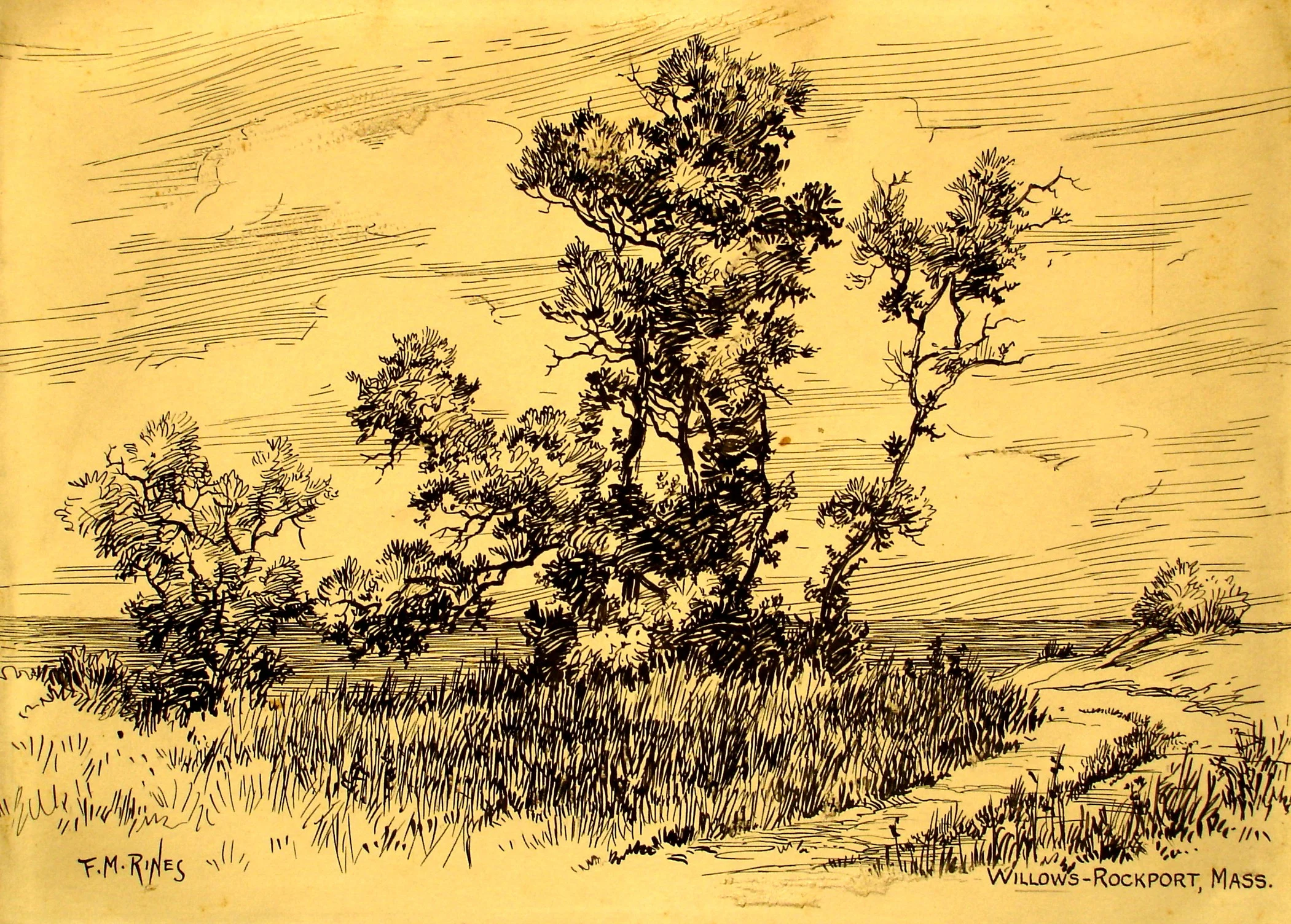 14 INK No.14 Willows Rockport.JPG