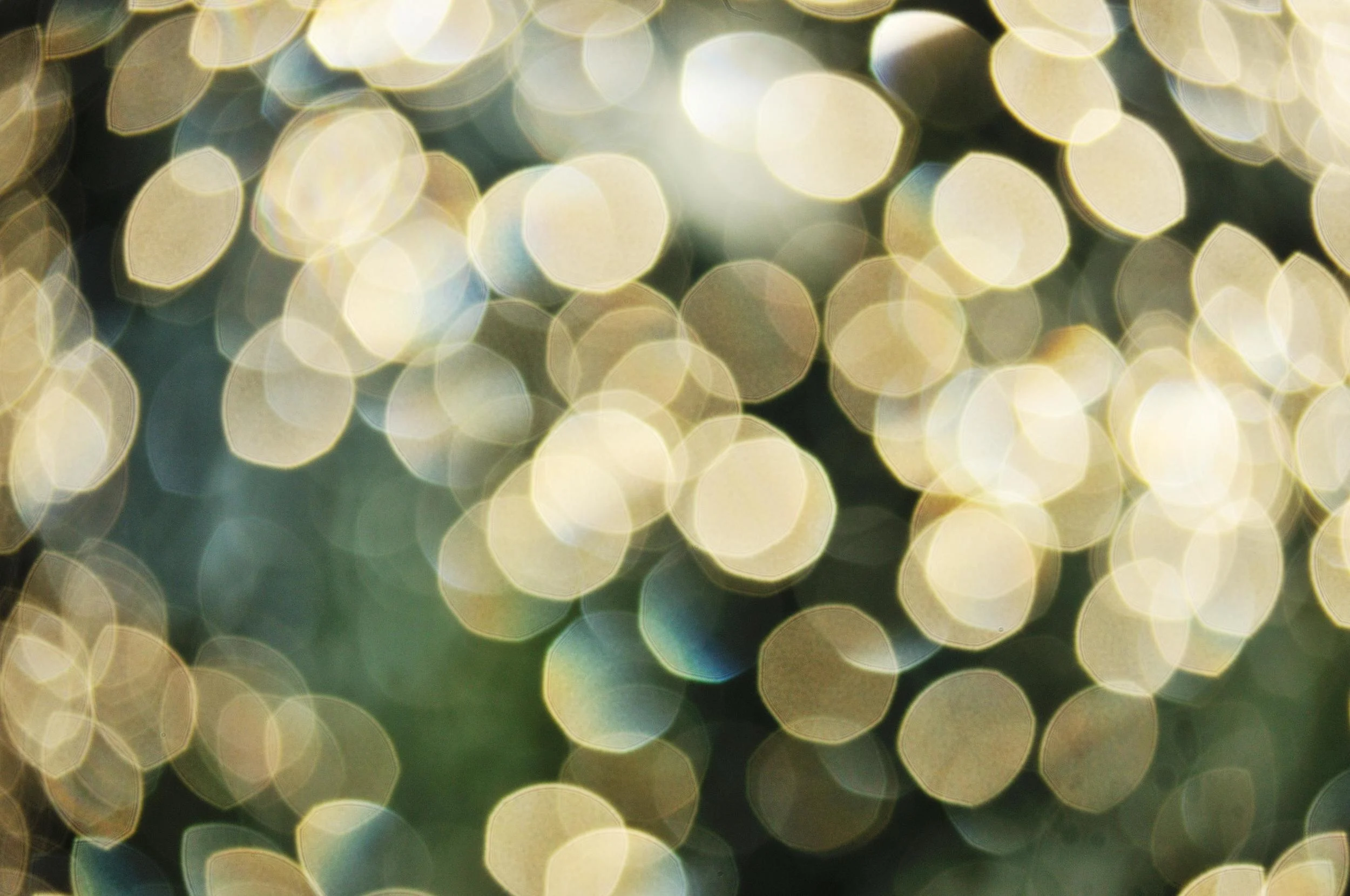 raindrops on windowpane.JPG