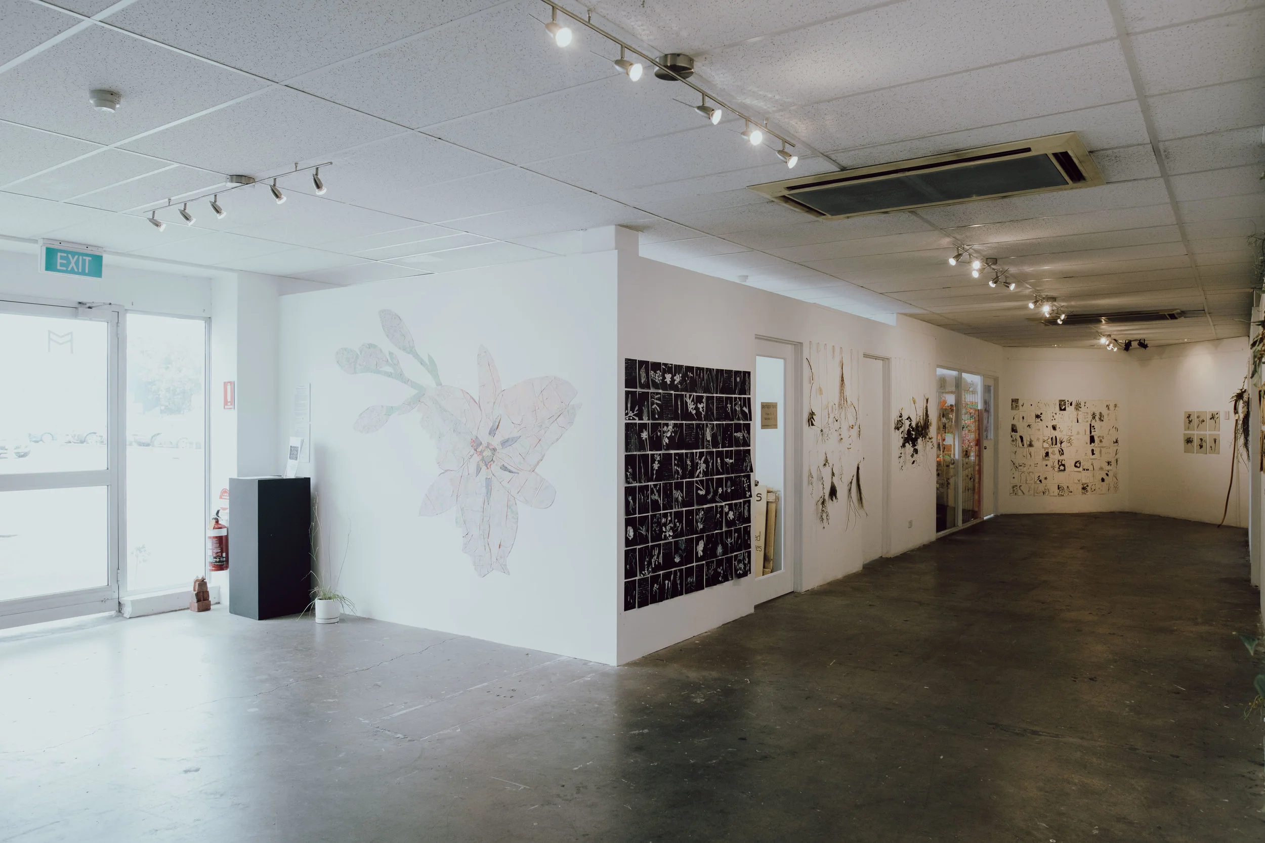 Louise Flaherty, Memorial for Forgotten Plants, 2018, installation view of exhibition Photo: Daniel Marks