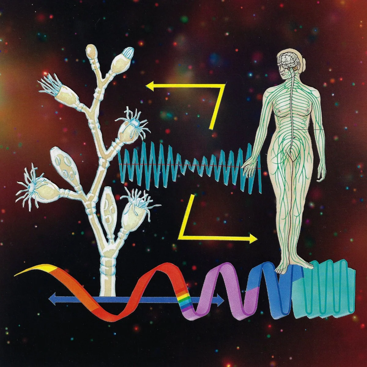 Networks in resonance.jpg