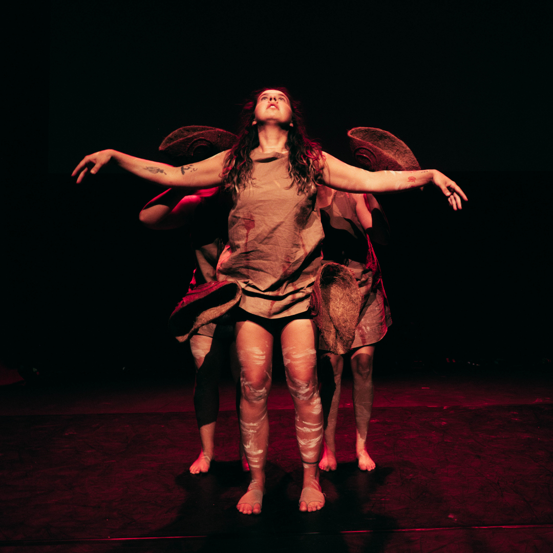 WAYIN:THI Performances