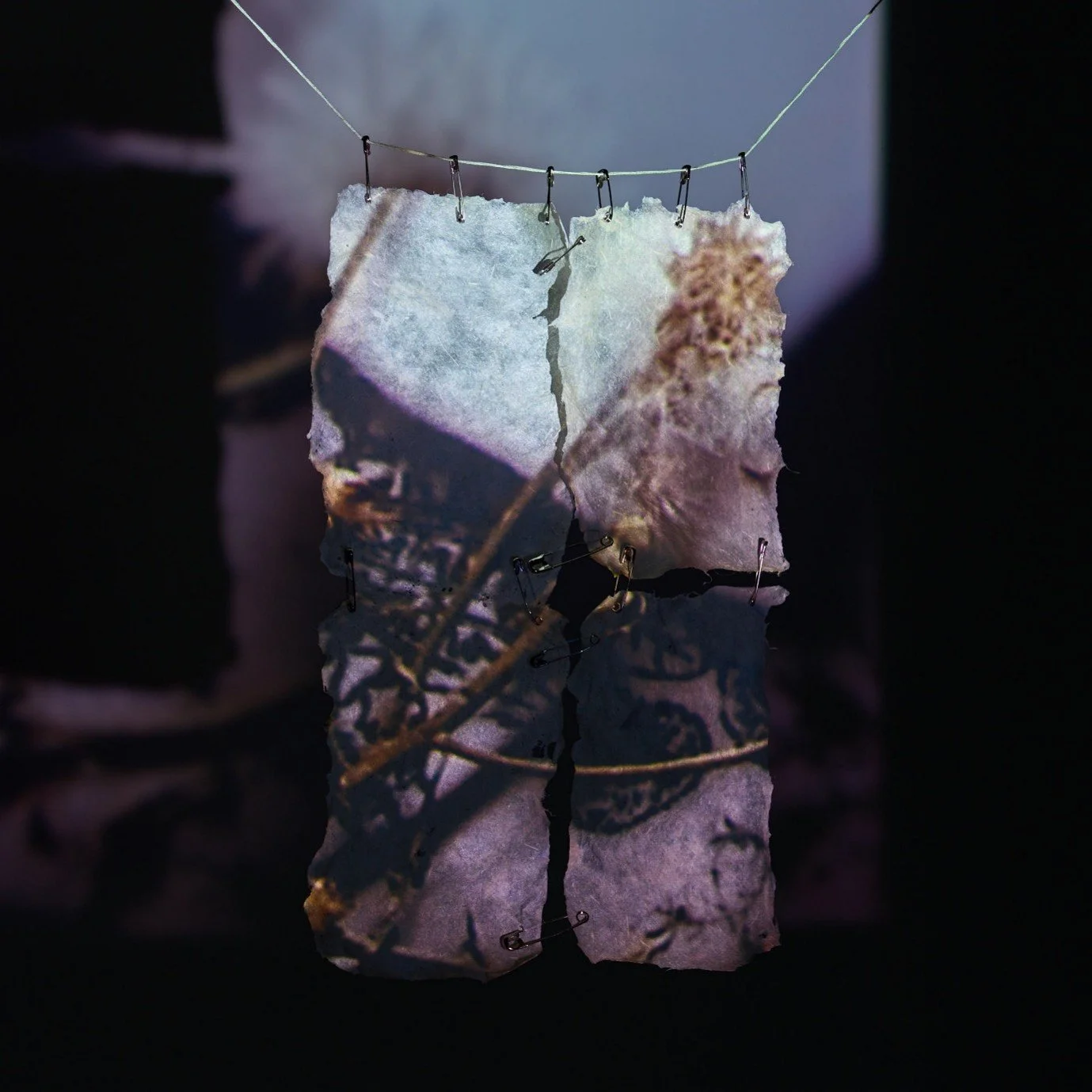 study for nettle memory, 2025.jpg