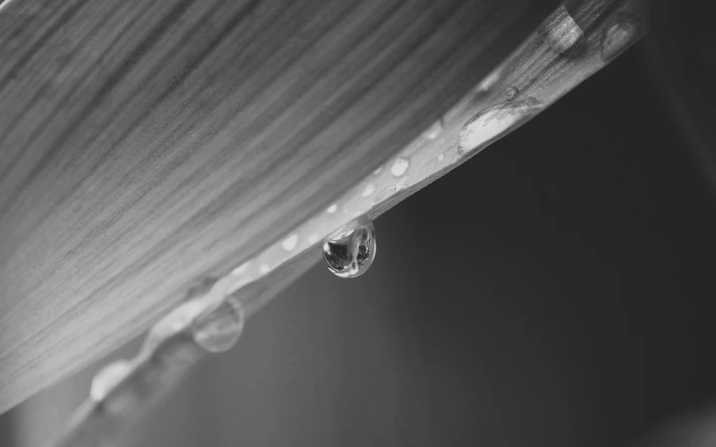 mono-image-droplet.jpg