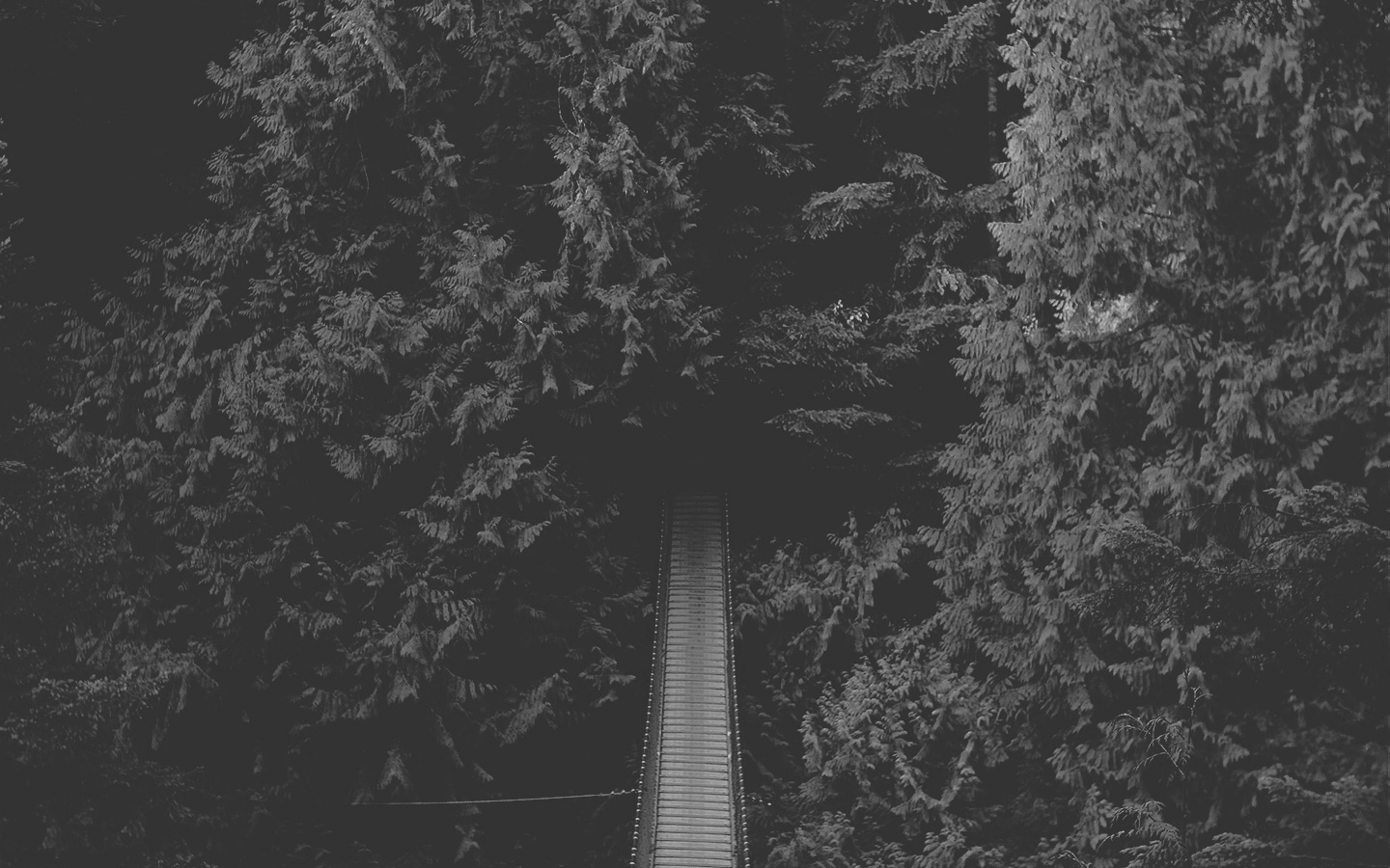mono-image-bridge.jpg