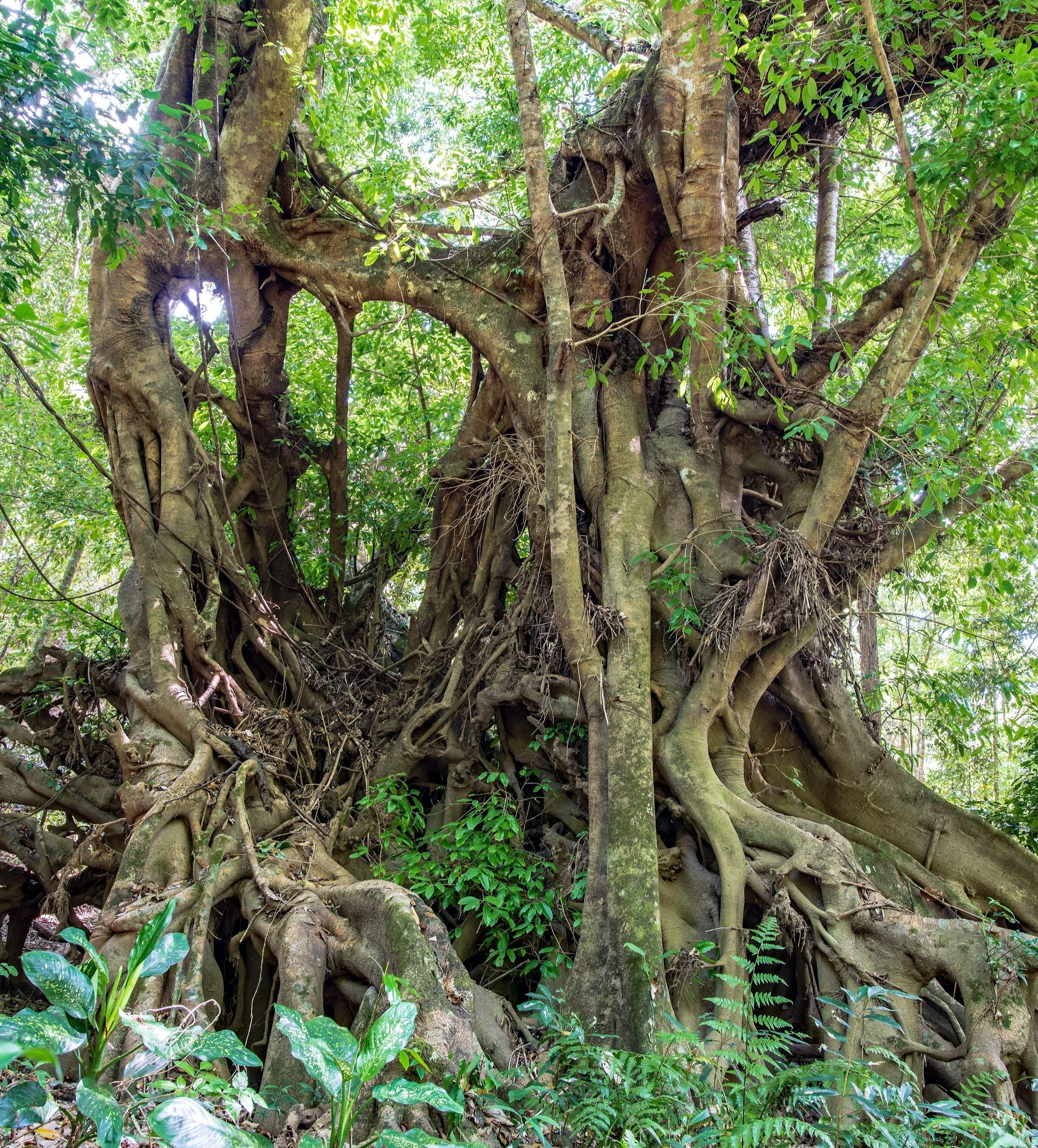 We Are Stronger Together