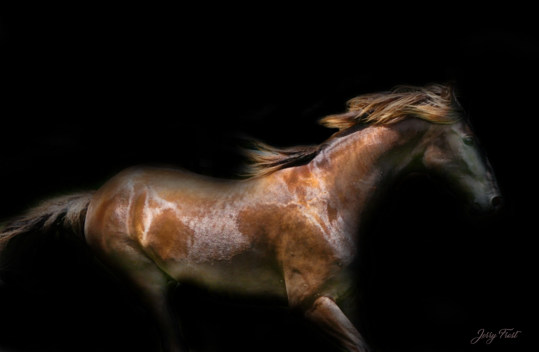 Speedy Horse by Jerry Frost.jpg
