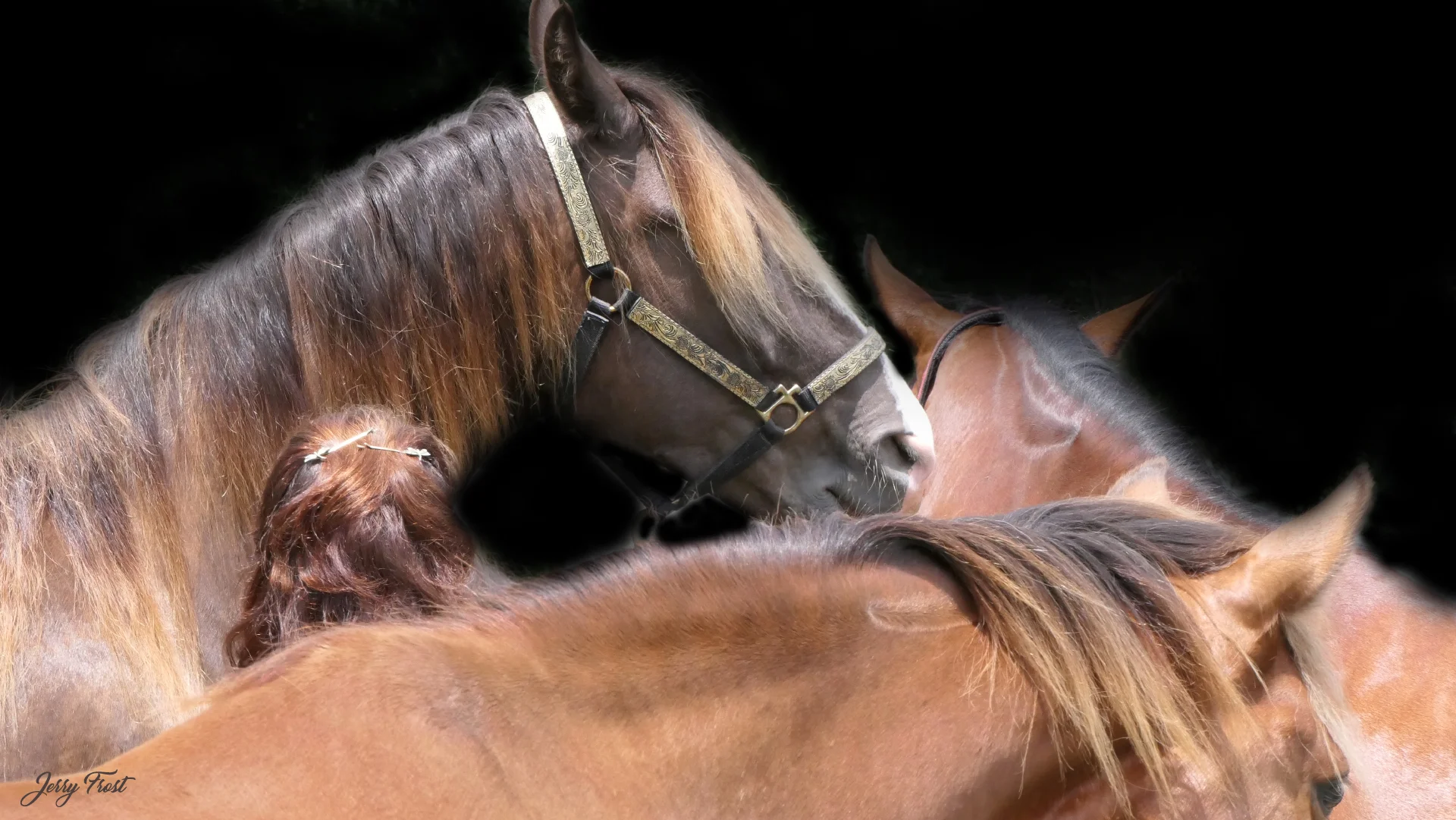 Annie in the middle by Jerry Frost.jpg