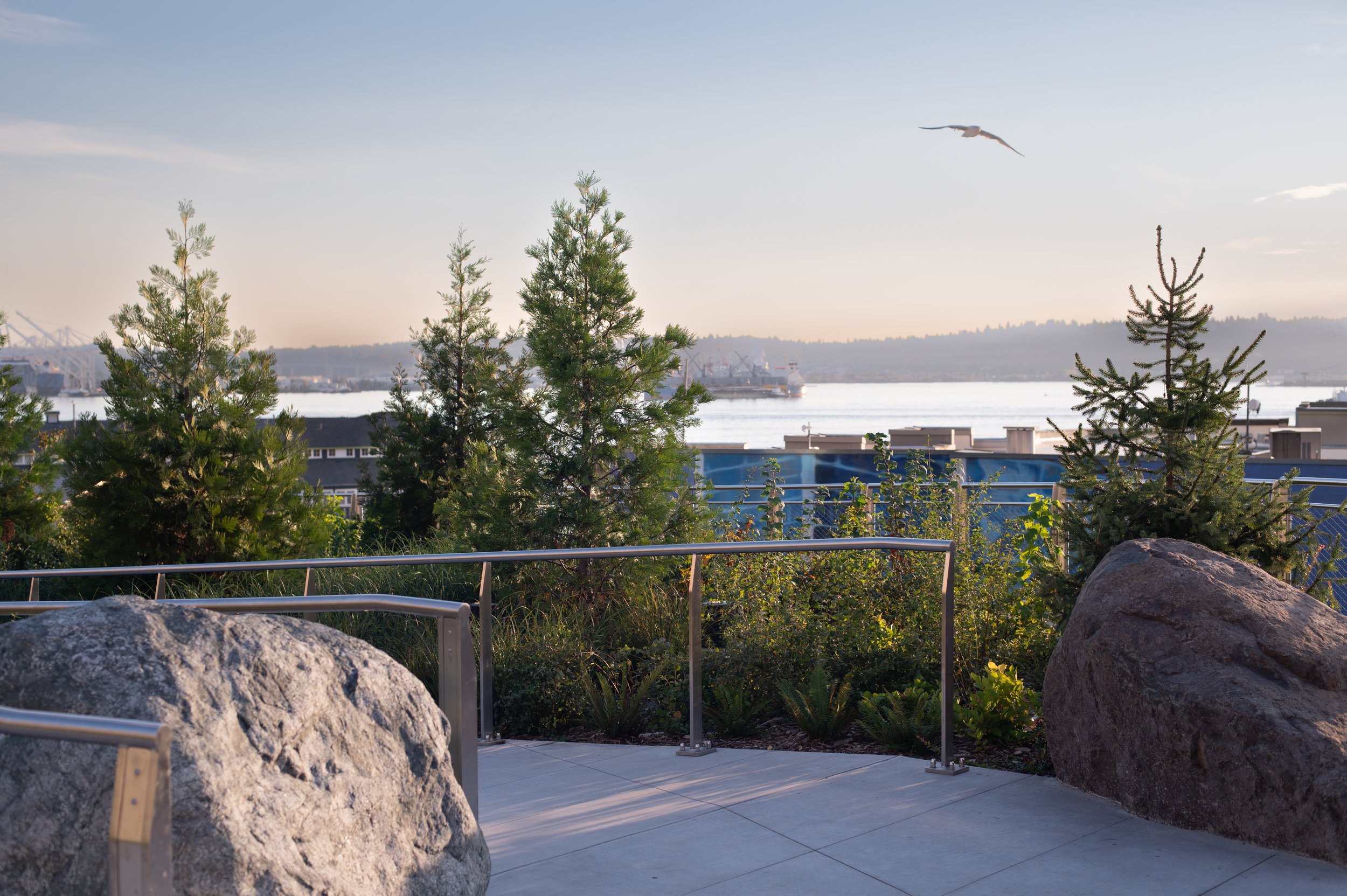 Overlook Walk_2024_LM_DSC_0739.jpg