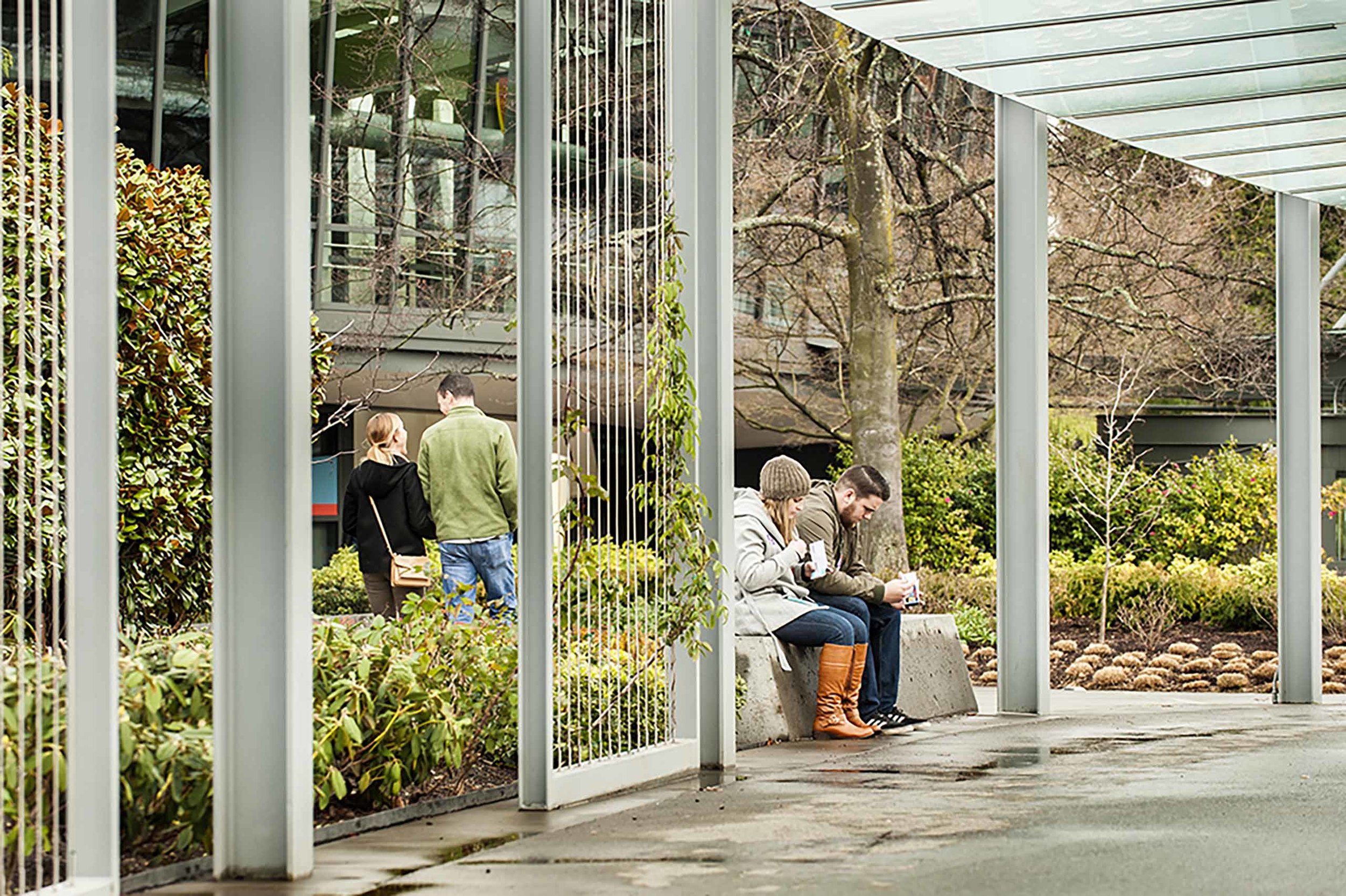 Land Morphology designed the planting areas and South Trellis between Chihuly Garden and Glass and the Space Needle in Seattle, Washington.