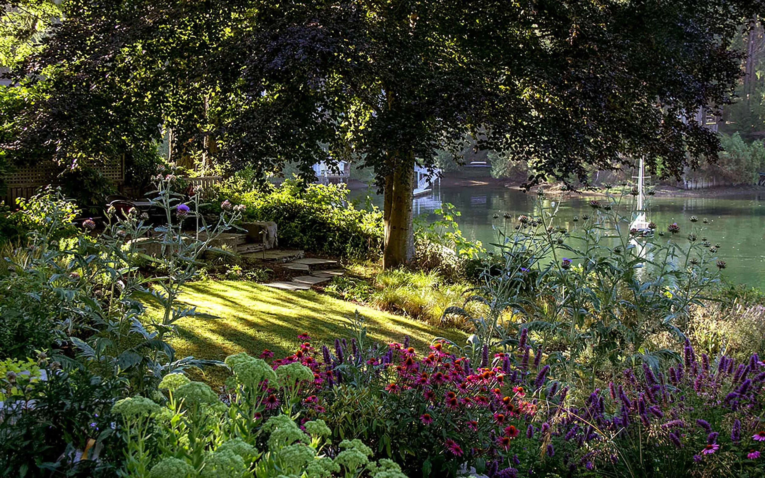 My garden on Bainbridge Island, Washington.