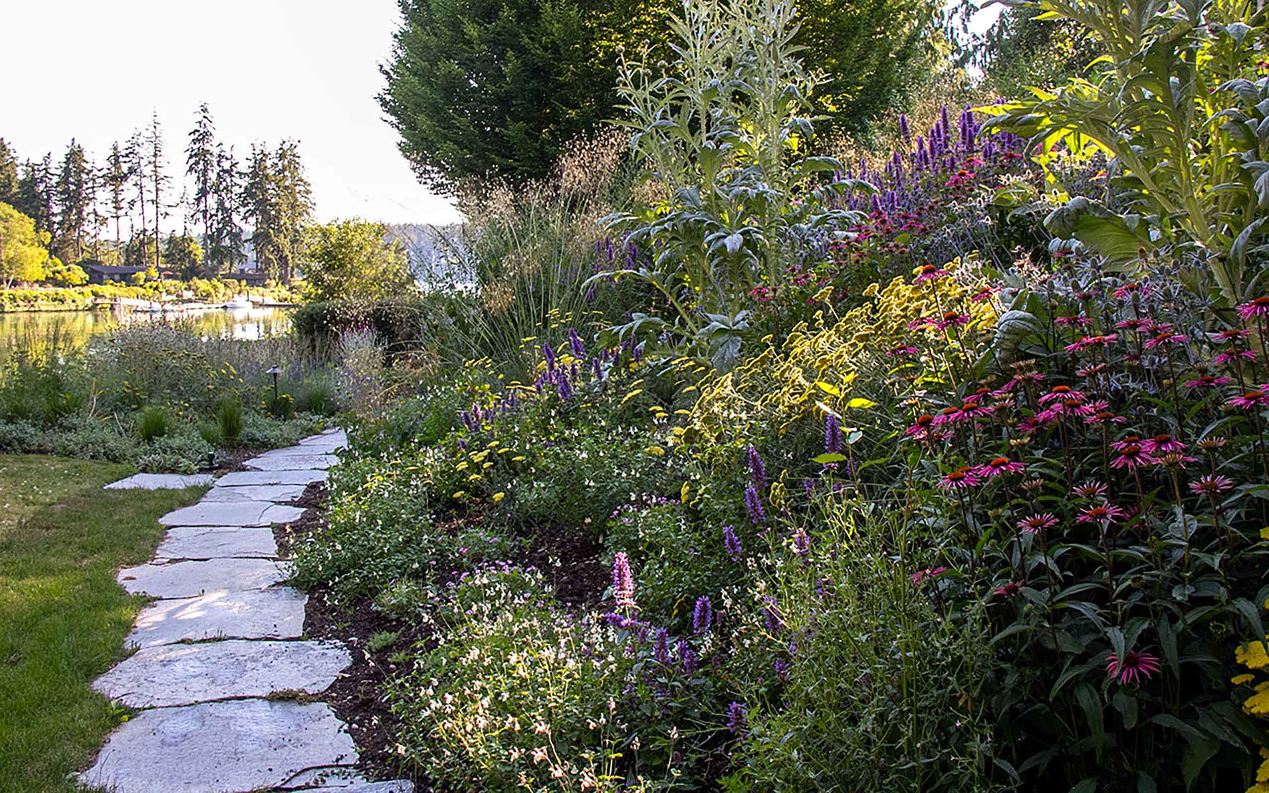 My garden on Bainbridge Island, Washington.