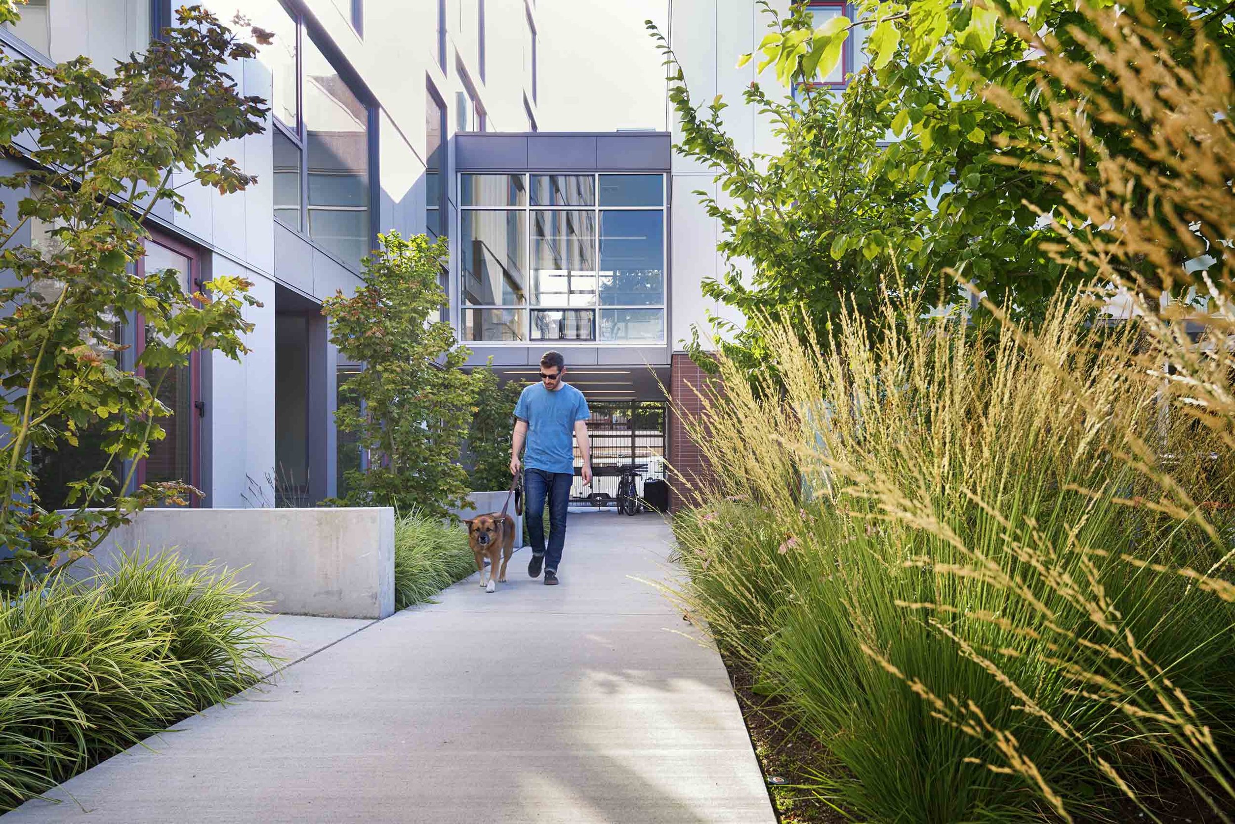Landscape design for the BelRoy Apartments in Seattle, Washington.