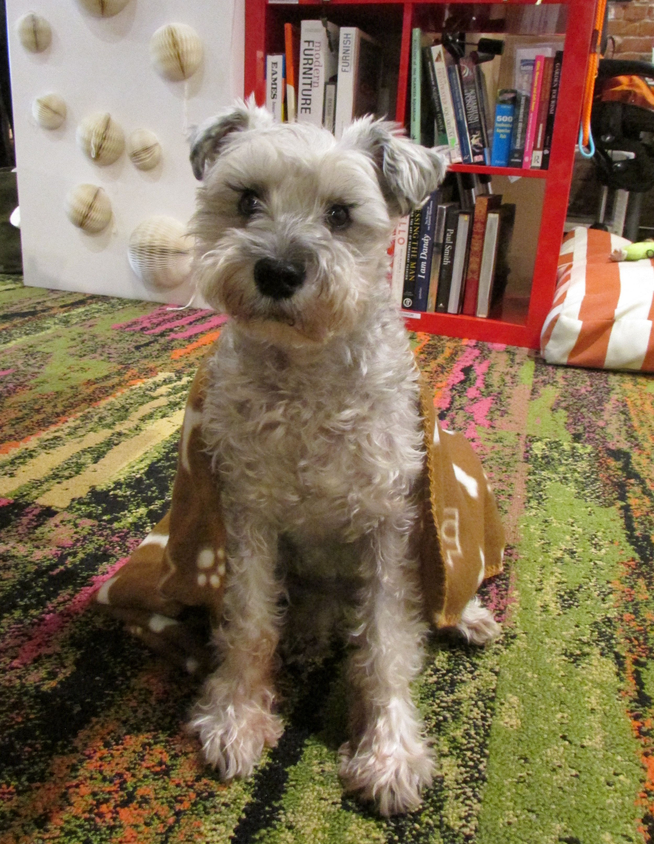 We were sorry that Sandy couldn't join us. Astro stayed behind. Happy Holidays from everyone at Land Morphology!