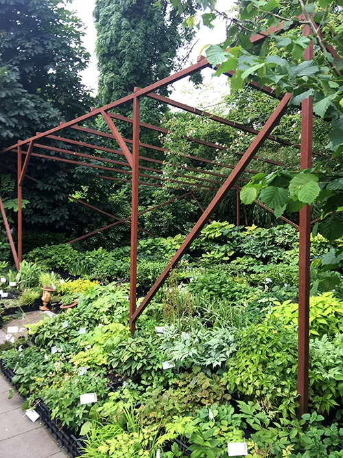 Seen here is a steel arbor from Richard’s visit to Peter Janke's Hortvs Garden in Germany.