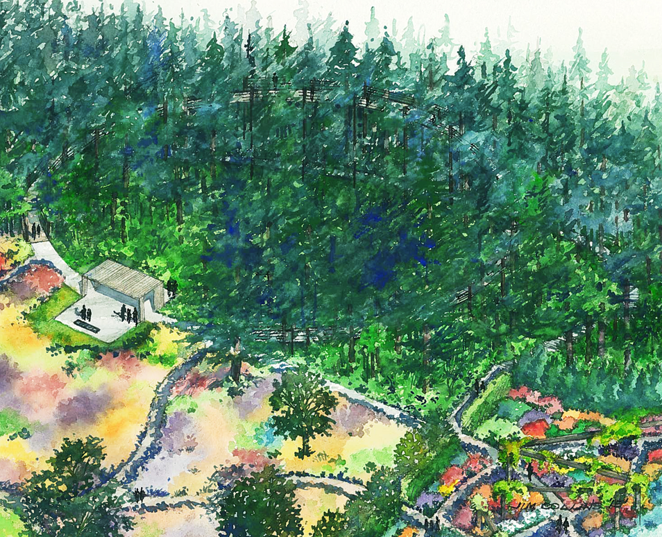 Visitors will stroll on an elevated walkway designed by Land Morphology. High in the tree canopy, the treewalk offers an immersive visitor experience. The fireside terrace arbor by Olson Kundig serves as a gathering area and an entry point onto the treewalk.