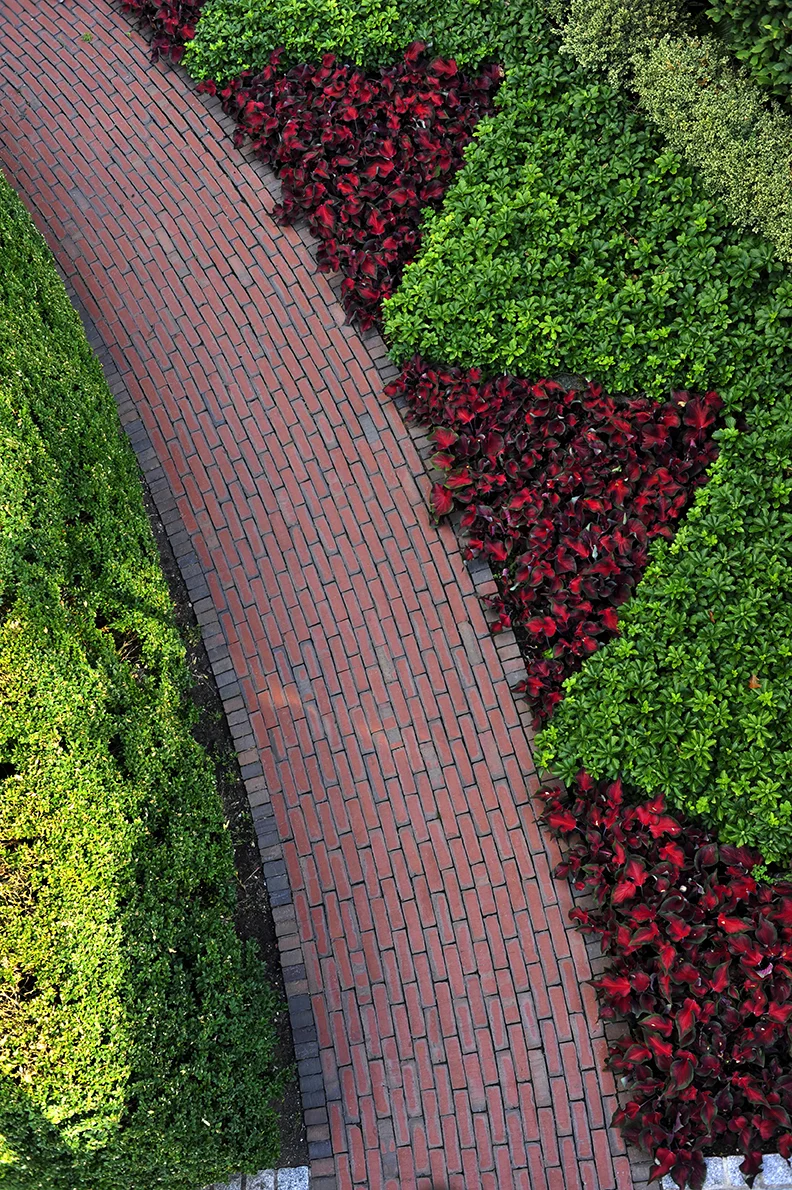 Well-crafted curved brick path