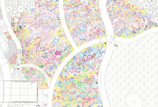 Pollinator Meadow Planting Plan