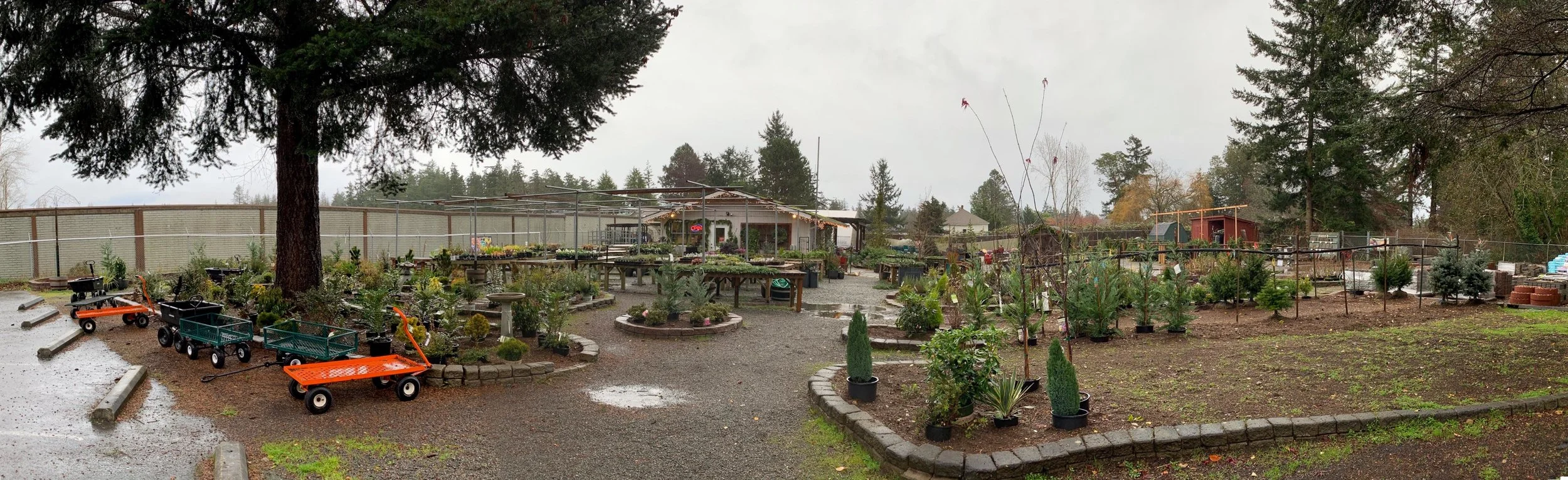 Existing conditions before renovations are pictured above. Prior to renovations, display areas were spread out and paths were rough, uneven, and lacked uniform paving, which made cart steerage challenging.