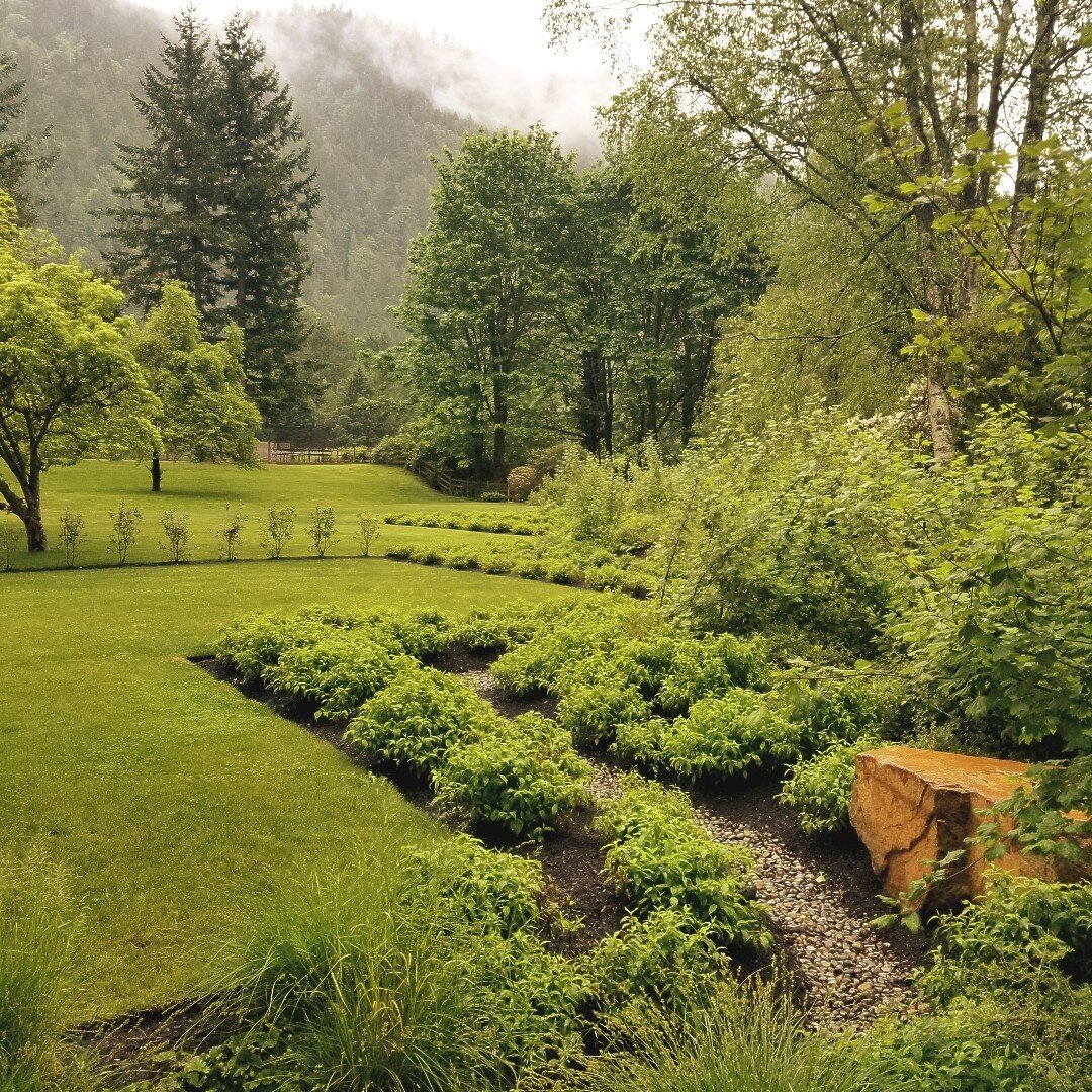 The zig-zag dispersion trench protects a downslope creek at the Creekside Modern residence in Issaquah.

The garden's design is based on a grid; the zig-zagging trench system reflects and reinforces the garden's overall aesthetic. 
#stormwater #drain